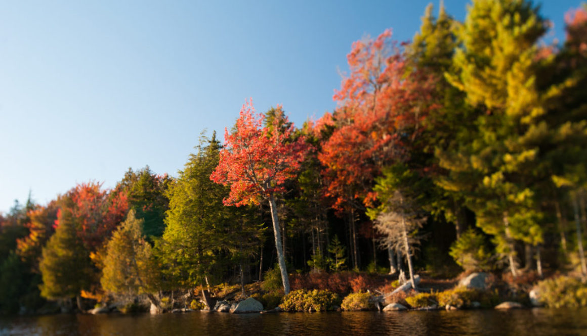 five virtuoso properties where you can enjoy beautiful fall foliage